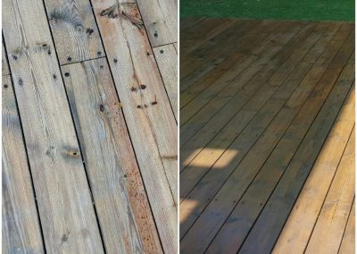 13882253_899068170204766_2924728648084369533_n (1)